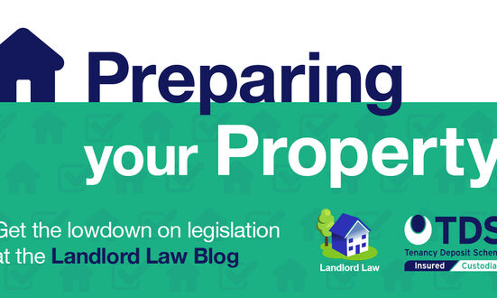 Tessa's Tenancy Tips: Preparing your property